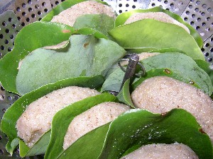 moti005.jpg
