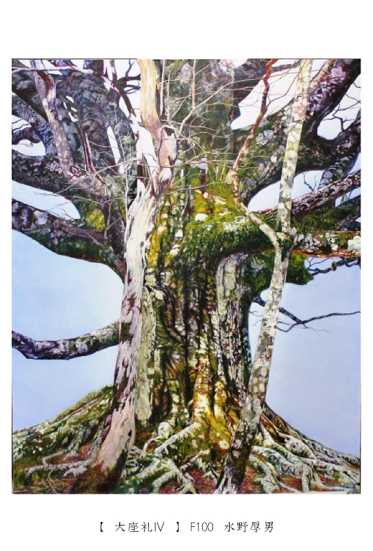 Atsuo Mizuno・水野厚男 絵画 ブナに魅せられてシリーズのページ