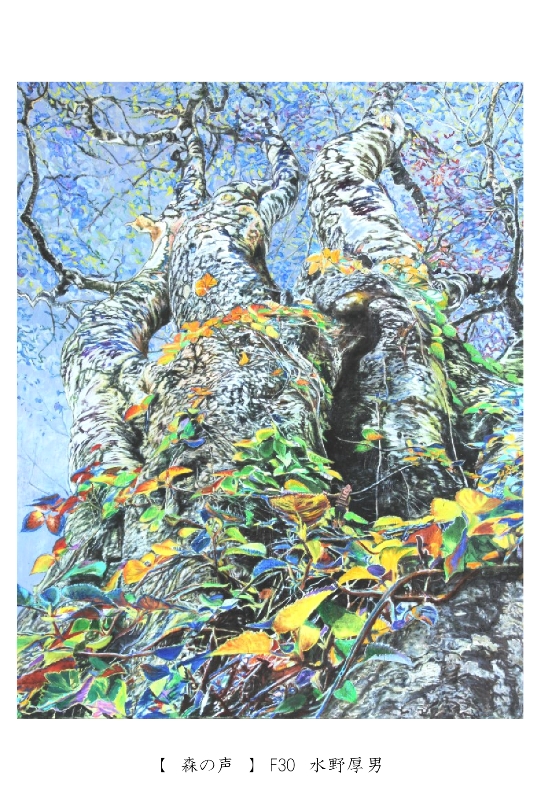 Atsuo Mizuno・水野厚男 絵画 ブナに魅せられてシリーズのページ