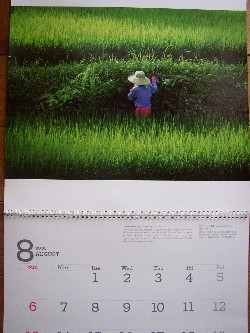 polepole047.jpg
