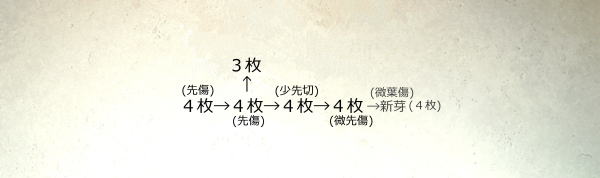 寒蘭 四万十川の誉 赤花