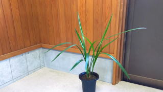 IMG20251217101448-higuma-