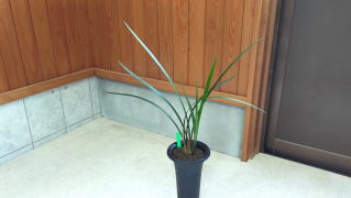 IMG20260428111022-tenitibou-