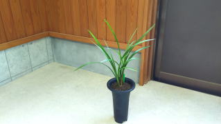 IMG20260428111614-asukabito-